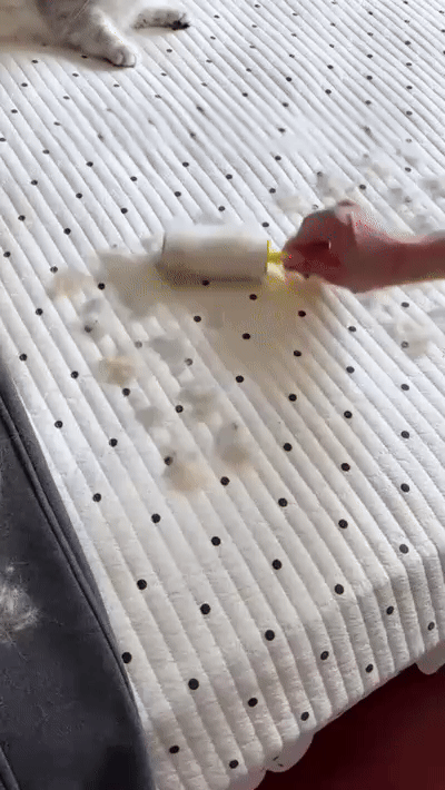 Buy 2 Get 1 Free Bundle - Magic Pet Hair Glove